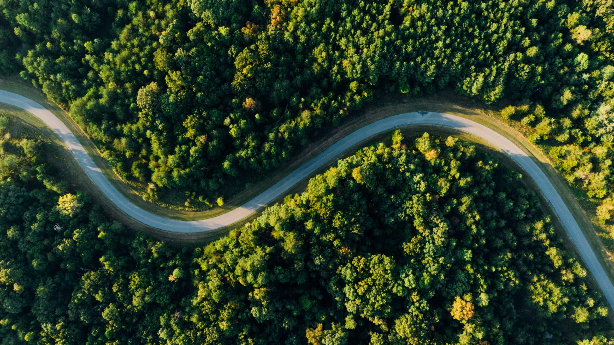 Organization design and Roadmap for growth
